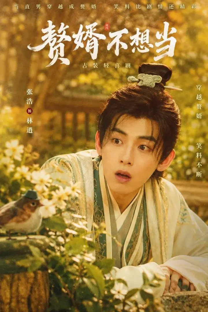 穿书后我成了男主封面海报，穿越重生题材短剧